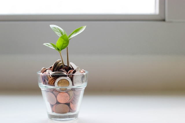 Glass pot with coins and a small bud of a new plant growing out of coins.